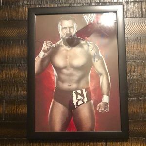 WWE Daniel Bryan Picture